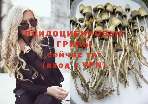 МДПВ Армянск